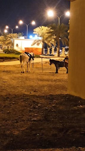 Liwa Public Park