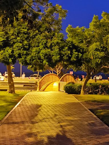 Silver Jubilee Park (Ain Sohar).
