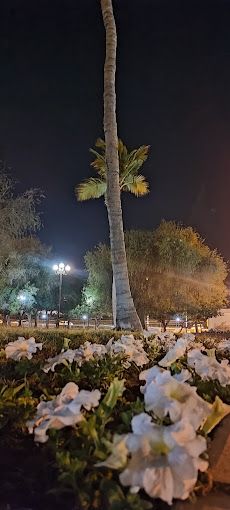 Shinas Public Park