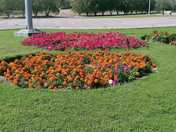 Al-Saqr Park