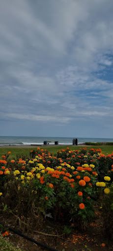 Al-Saqr Park