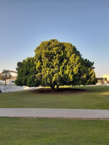 Sohar Public Park