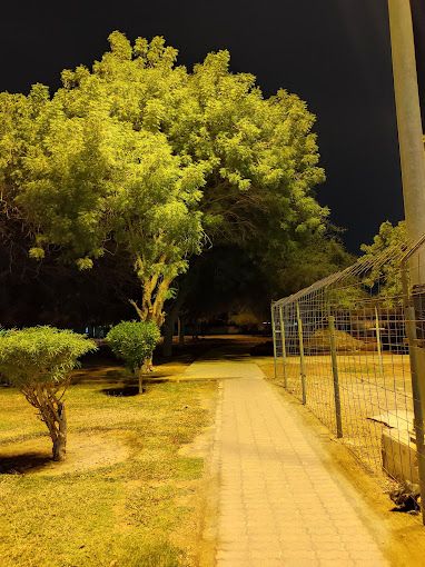 Saham Public Park