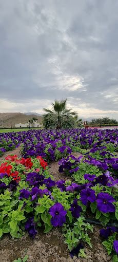 Rustaq Public Park