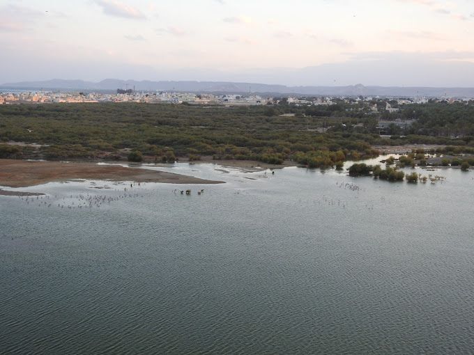 Flamingo lake