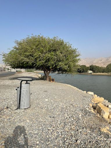 Flamingo lake