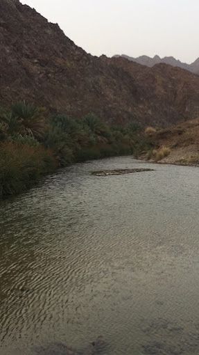 Wadi Aljazirih