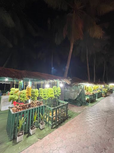 Mashli and hookah market